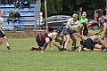 MAS_1785