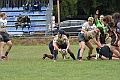 MAS_1786