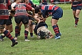 MAS_1801