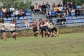 MAS_1847
