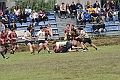 MAS_1848
