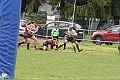 MAS_1879