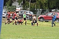 MAS_1880