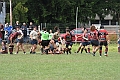 MAS_1955