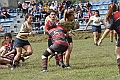 MAS_1984