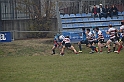 MAS_6733