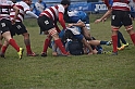 MAS_6768