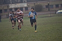 MAS_7019