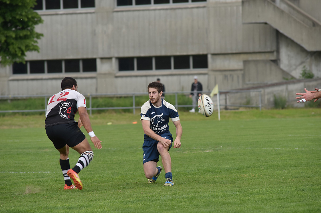 MAS_2411FotoMarioS.jpg