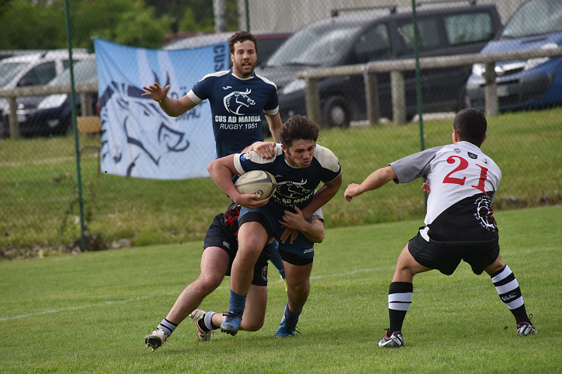 MAS_2540FotoMarioS.jpg