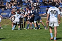 MAS_4437