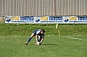 MAS_4479