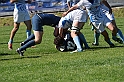 MAS_4485