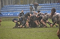 MAS_2010