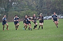 MAS_0503