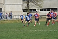 MAS_2233