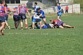 MAS_2273