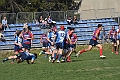 MAS_2287