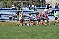 MAS_2317