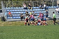 MAS_2319