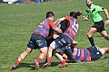 MAS_2403