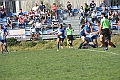 MAS_2483