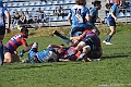 MAS_2493