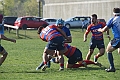 MAS_2494