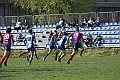 MAS_2498