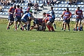 MAS_2505