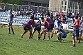 MAS_2533