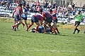 MAS_2535