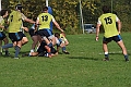 MAS_1038