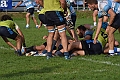 MAS_1054