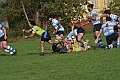 MAS_1077