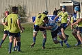 MAS_1081