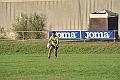 MAS_1111