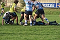 MAS_1129