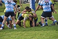 MAS_1191