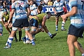 MAS_1208