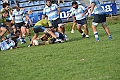 MAS_1225
