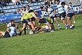MAS_1226