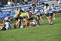 MAS_1227