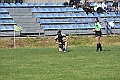 MAS_6431