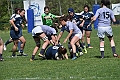 MAS_6495