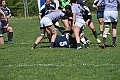 MAS_6496