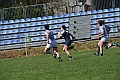 MAS_6533