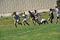 MAS_6541