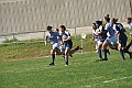 MAS_6546