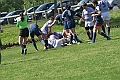 MAS_6567